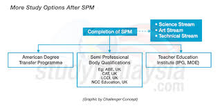 The below process covers the first part of getting h1b approval from uscis as it is your first step in the h1b visa journey. What To Do After Getting Your Spm Or Stpm Results Studymalaysia Com