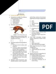 Check spelling or type a new query. Kumpulan Soal Ipa Sd Kelas 6 Pdf