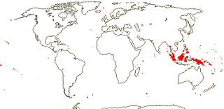 Image result for Nectaropetalum carvalhoi