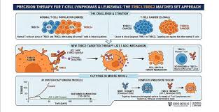 Image result for Targeted Cancer Therapy
