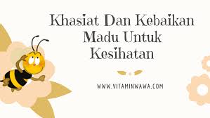 Proses pembuatan madu oleh lebah #lebah #madu #tahukahkamu tauhkah kamu. Khasiat Dan Kebaikan Madu Untuk Kesihatan Vitamin Wawa Pengedar Shaklee Aktif
