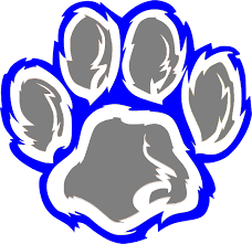 Wildcat Paw Wild Cats Wildcats Logo Illustrator Typography