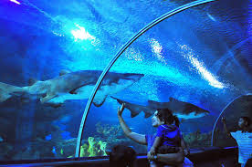 Travelnix Com Aquaria Klcc Photos Travel Tours Shore Excursions Langkawi