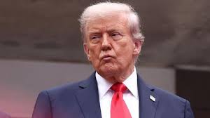 Pro-Trump Epstein Survivor Speaks Out, Slams Trump for Calling Epstein Case  a 'Hoax'