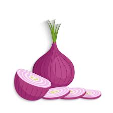 Bawang merah, merupakan tanaman umbi yang banyak dibudidayakan di indonesia. Irisan Bawang Merah Stok Vektor Ilustrasi Irisan Bawang Merah Bebas Royalti Depositphotos