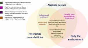 Image result for Absence Seizure