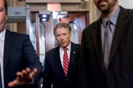 Paul in 2017 was assaulted by his neighbor, rene boucher, whereas doing yard work. Sen Rand Paul S Neighbor Will Plead Guilty To Attack Over Brush Pile Vox