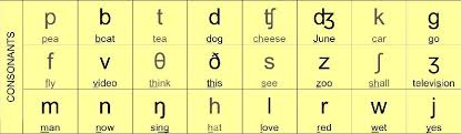 ① find and learn an alphabet. How The Phonetic Alphabet Will Help You Learn A Language Lingoda