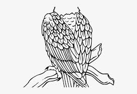 The marines symbolic eagle globe and anchor emblem is the official emblem and insignia of the united states marine corps. Eagle Clipart Baby Eagle American Bald Eagle Coloring Sheets Png Image Transparent Png Free Download On Seekpng
