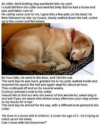 Dog Naps At A Neighbor S House Sleeping Dogs Funny Animals Funny Cute