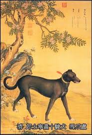 轉貼 打破白腳蹄 二犬的迷信 十全 與 富貴雙全 追蝴蝶的貓 痞客邦 dog art canine art dog artist