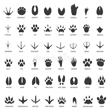 If you want to draw a puppy, just make the head bigger. Animals Foot Stock Illustrations 3 375 Animals Foot Stock Illustrations Vectors Clipart Dreamstime