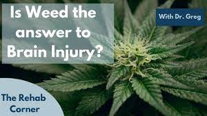 Brain Injury Post Concussion Syndrome And Marijuana Neuro Inflammation And The Gut Brain Axis Youtube