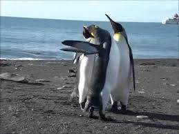 Image result for tbn:Z_XyLVGl0ZUU6M::www.palvoice.com/forums/imgcache08/1349.gif