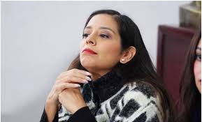 Tribunal Electoral de CDMX revive queja contra panista Luisa Gutiérrez por  uso indebido de recursos públicos