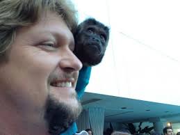 Crystal the monkey steals the spotlight in 'Animal Practice'