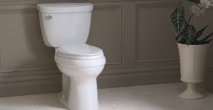 Previous pricec $18.76 30% off. Comfort Height Toilets Raised Height Qs Supplies
