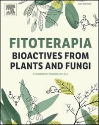 Image result for Suregada procera