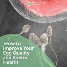 Fertility Over 40 Improve Egg Quality And Sperm Health