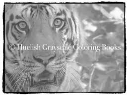 Print cat coloring pages for free and color our cat coloring! Downloadable Grayscale Coloring Pack Three Big Cat Pages From Beautiful Creatures