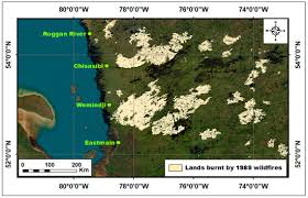 Image result for Amber Sherwood 1972 Satellite