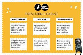 How To Prevent Parvo In Puppies! The Complete Guide 2022 - Smart Dog Owners