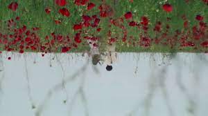 Prin credinţă, supravieţuieste torturilor şi după eliberare compune o odă lui dumnezeu. Intre Chin È™i Amin Between Pain And Amen Trailer Subtitrat Cineghid