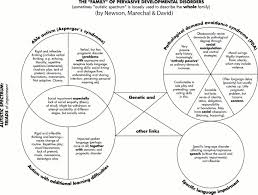 The Difference Between Pathological Demand Avoidance Pda