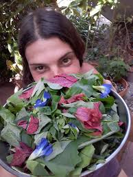 Sonoran Desert foraging class with wild foods