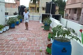 Across the alleyway, from my last home, i had good friends—almost family—who had a beautiful garden. Green Start Ups Cater To Growing Demand For Home Gardens Dtnext In