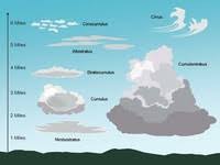 Cloud Clip Art Download this transparent cloud, cloud clipart, transparent png image and clipart for free. cloud clip art
