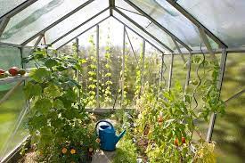Build your own greenhouse from florida gardener. How To Build A Greenhouse Diy Greenhouse