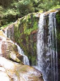 Reserve a campsite online or by calling devils state park. Best Campsite Review Of Devils Fork State Park Salem Sc Tripadvisor