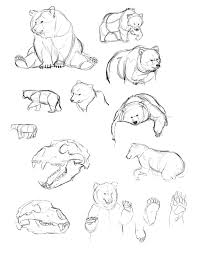 Carriedraws Animal Drawings Bear Drawing Bear Art