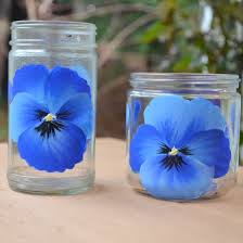 Paint delphiniums on glass, a fun glass painting tutorial video to paint delphiniums on glass takes just a little practice but it is well worth the effort. How To Paint Pansies On Glass Craftgawker