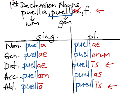 First Declension Nouns Latin Showme