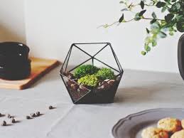 With its geometric design and gold frame, the white metal wall planters are stylish, and the perfect accent to any decor. 16 Stunning Geometric Planter Designs For The Perfectionist In You