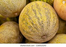 Cloes Up Cantaloupe Images Stock Photos Vectors Shutterstock