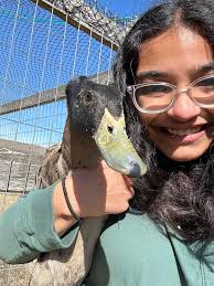 What is the condition affecting my drake?