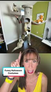 Image result for quirky halloween