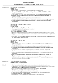 Check spelling or type a new query. Sap Security Resume Samples Velvet Jobs