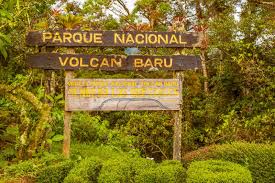 Parque Nacional Volcán Barú | Attractions - Lonely Planet