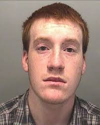 Teen stole 10 cats from animal sanctuary to use as live bait for dogs