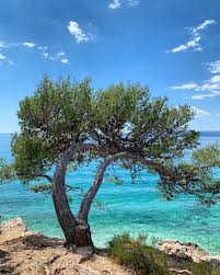 The latest tweets from @sabienes Makarska News Baskopolje Baskavoda Strand Makarskariviera Dalmatien Kroatien By Vice Rudan Property Photography Tempet Visual Studio Facebook