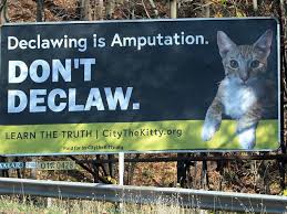 Are there different kinds of declaw surgeries? Cat Declawing Activist Focuses Her Fight On Erie Animal Shelter