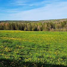Jordan's Natural Acres