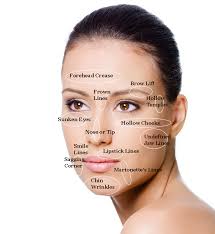 Beauty Face Map Wrinkle Map Wrinkles Aging Anti