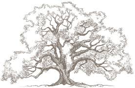 True Love Simple Bird On Tree Drawing Love Tree Oak Tree Drawings Tree Sketches Oak Tree Tattoo