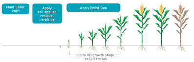 How It Works Enlist Duo Herbicide Enlist Weed Control System