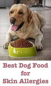 How To Find The Best Dog Food For Skin Allergies Dogproducts Best Dry Dog Food Hypoallergenic Dog Food Best Dog Food